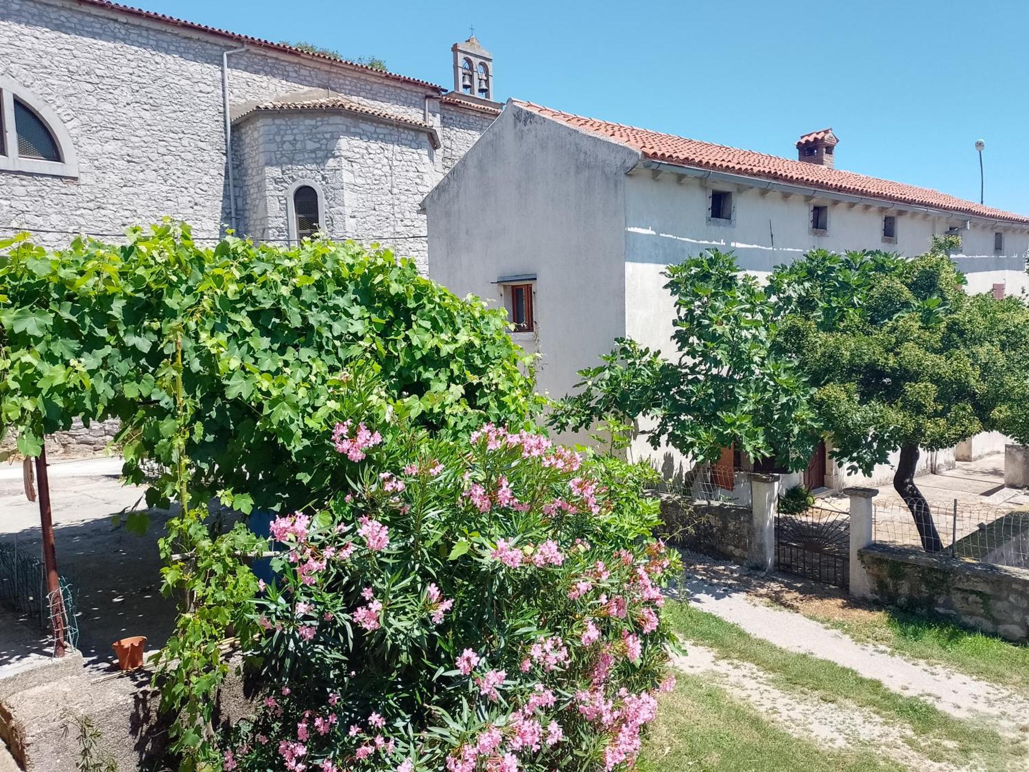 Apartments Lazzarini Battiala Nedescina Экстерьер фото